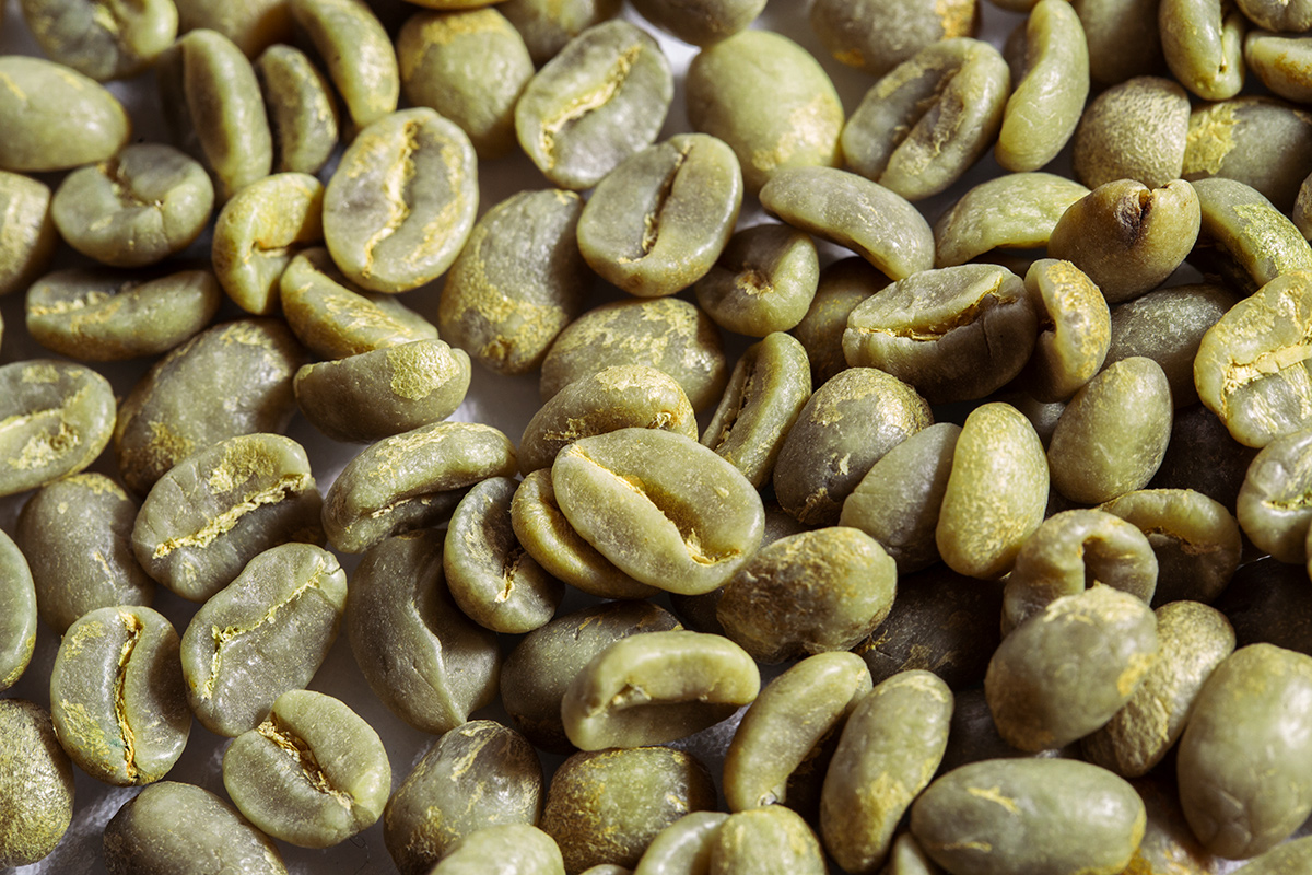 Mare Terra beans zoomed-in